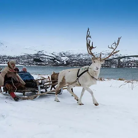 Nordic Host - The Arctic Horizon Apartment *