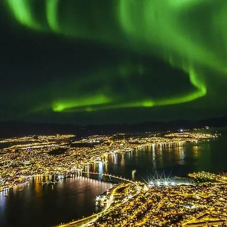 Nordic Host - The Arctic Horizon Tromso